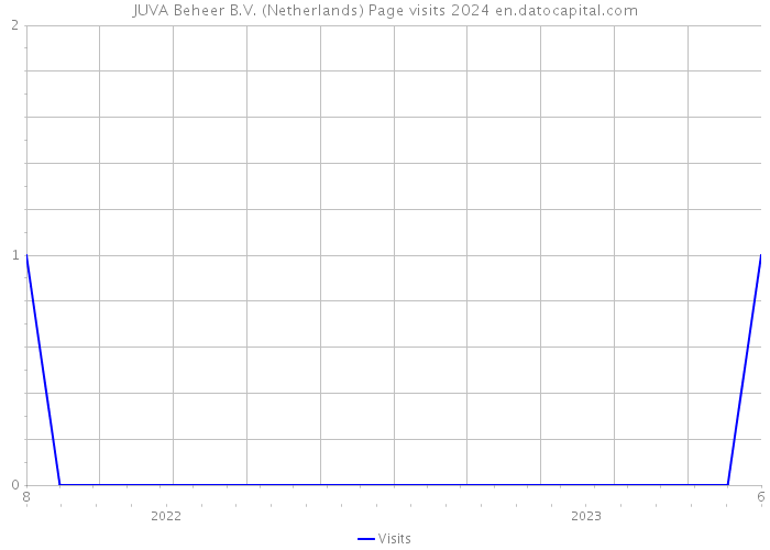 JUVA Beheer B.V. (Netherlands) Page visits 2024 
