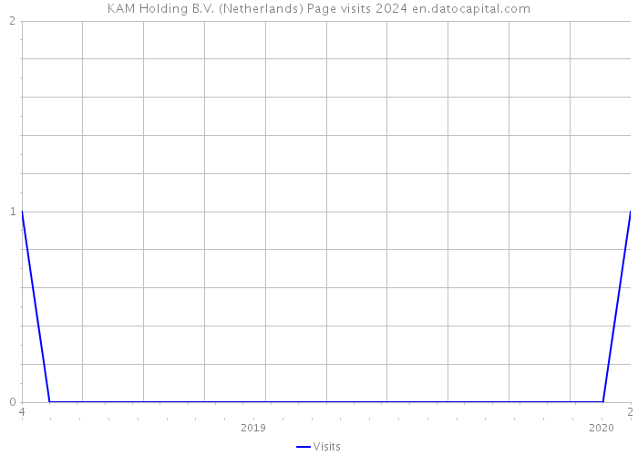 KAM Holding B.V. (Netherlands) Page visits 2024 