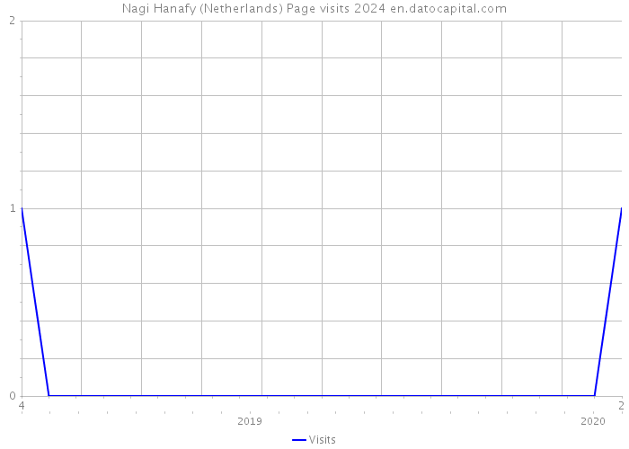 Nagi Hanafy (Netherlands) Page visits 2024 
