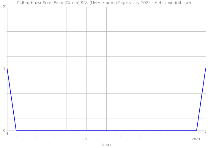 Pallinghurst Steel Feed (Dutch) B.V. (Netherlands) Page visits 2024 