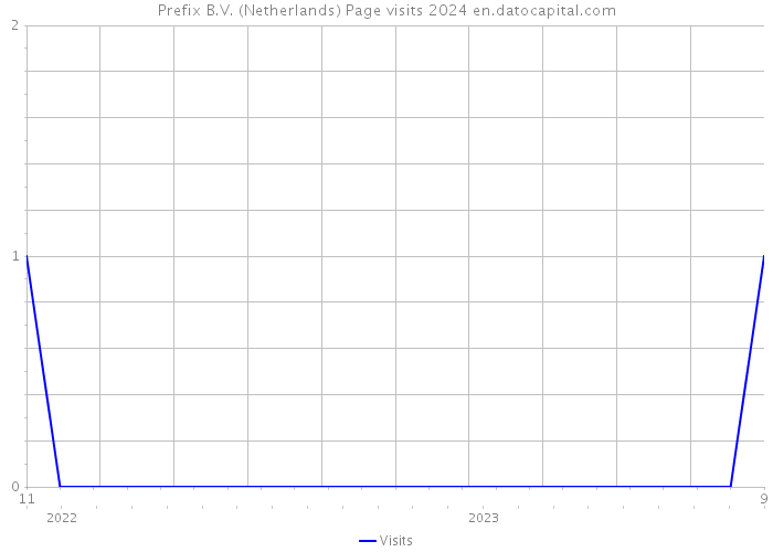 Prefix B.V. (Netherlands) Page visits 2024 