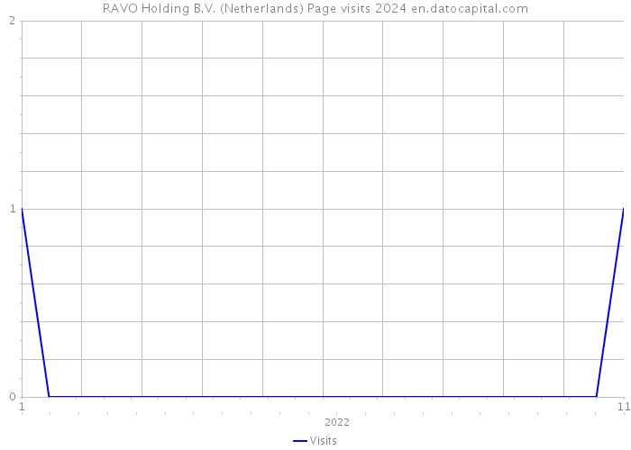 RAVO Holding B.V. (Netherlands) Page visits 2024 