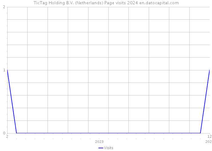 TicTag Holding B.V. (Netherlands) Page visits 2024 