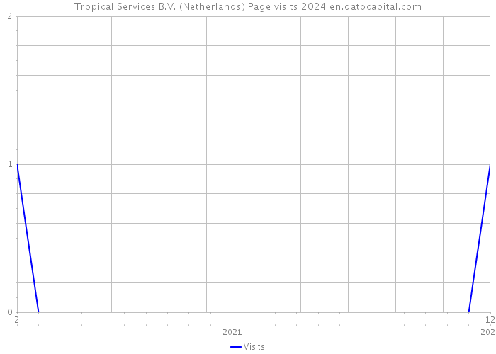 Tropical Services B.V. (Netherlands) Page visits 2024 