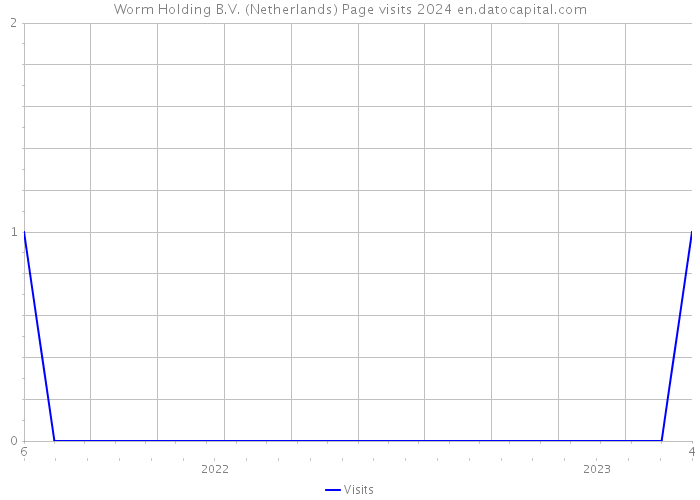 Worm Holding B.V. (Netherlands) Page visits 2024 