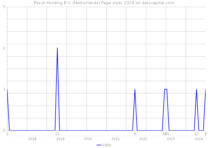 Pesch Holding B.V. (Netherlands) Page visits 2024 
