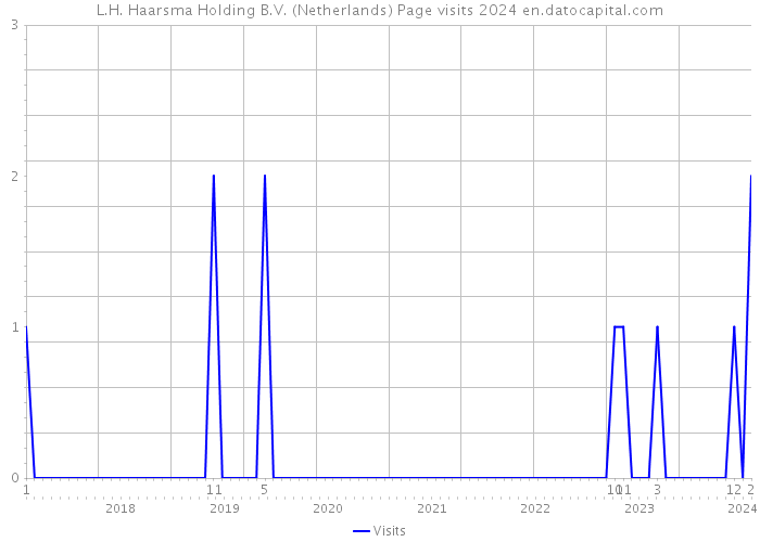L.H. Haarsma Holding B.V. (Netherlands) Page visits 2024 