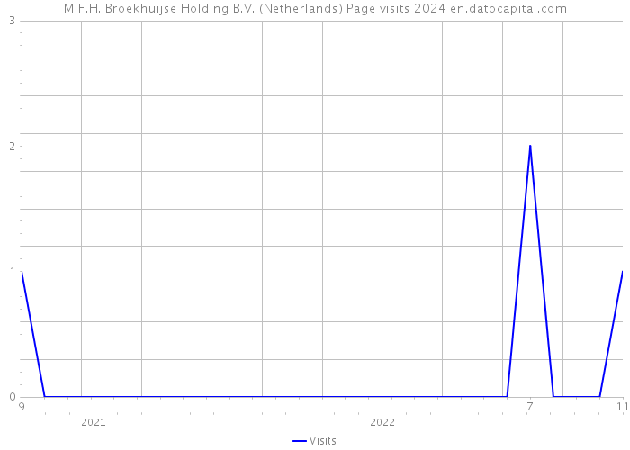 M.F.H. Broekhuijse Holding B.V. (Netherlands) Page visits 2024 
