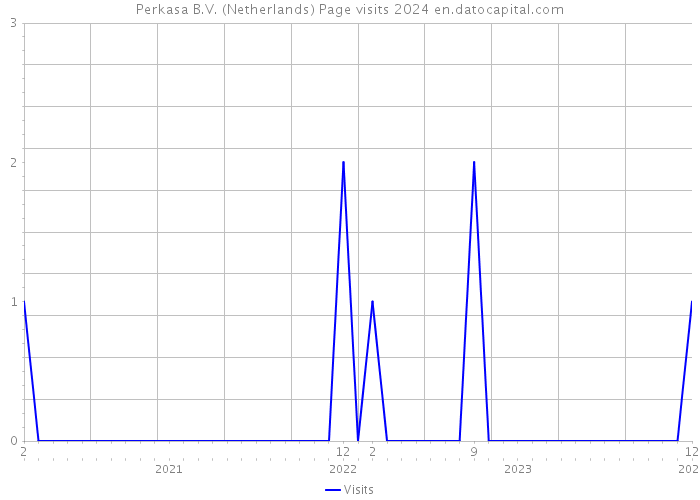 Perkasa B.V. (Netherlands) Page visits 2024 
