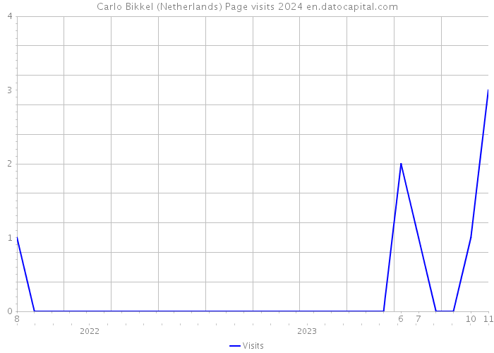 Carlo Bikkel (Netherlands) Page visits 2024 