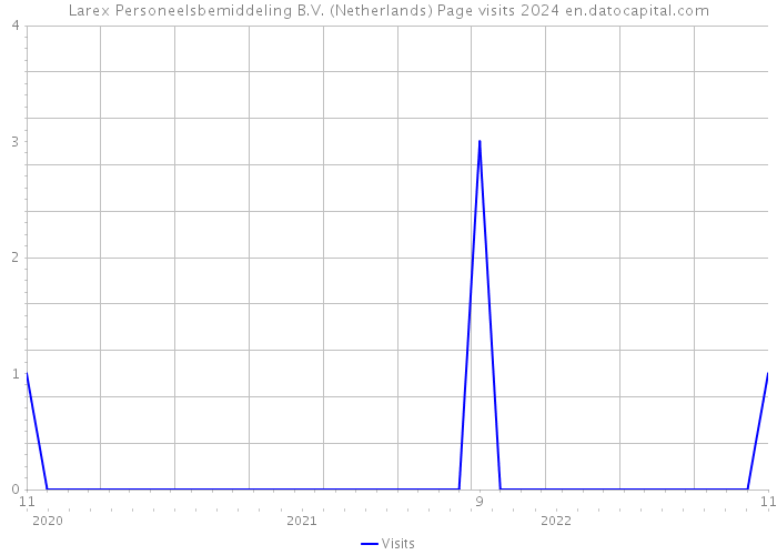 Larex Personeelsbemiddeling B.V. (Netherlands) Page visits 2024 