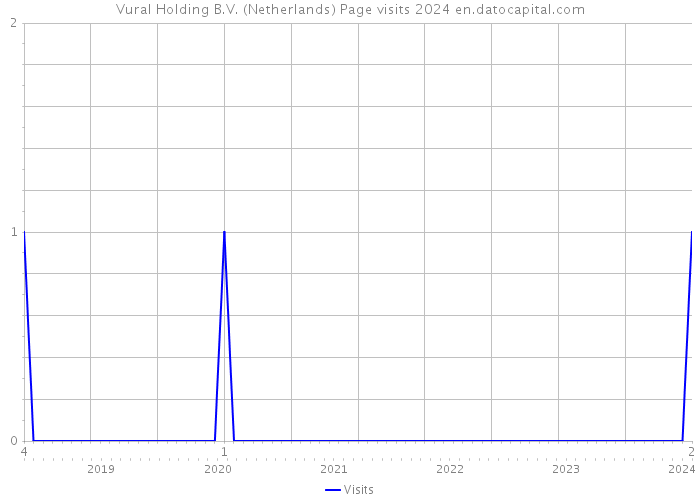 Vural Holding B.V. (Netherlands) Page visits 2024 