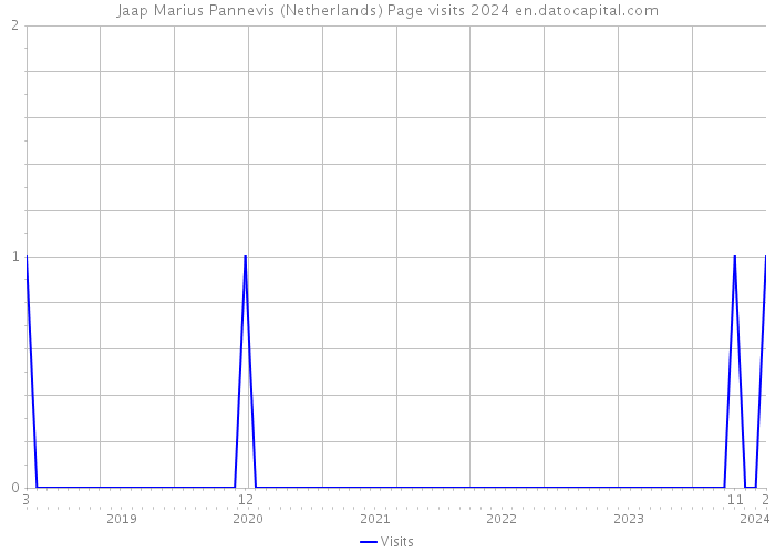 Jaap Marius Pannevis (Netherlands) Page visits 2024 