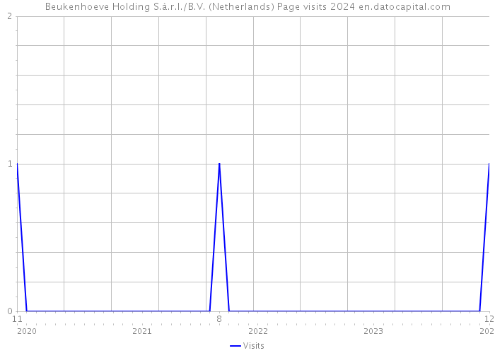 Beukenhoeve Holding S.à.r.l./B.V. (Netherlands) Page visits 2024 