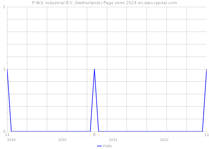 P.W.S. Industrial B.V. (Netherlands) Page visits 2024 