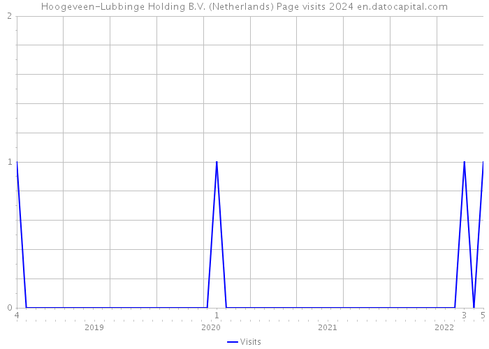 Hoogeveen-Lubbinge Holding B.V. (Netherlands) Page visits 2024 