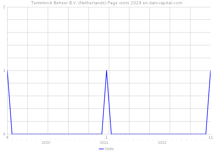 Temminck Beheer B.V. (Netherlands) Page visits 2024 