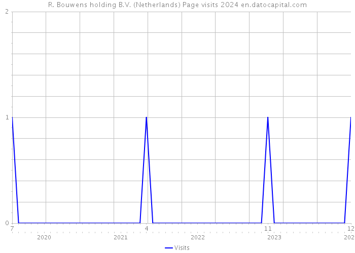 R. Bouwens holding B.V. (Netherlands) Page visits 2024 