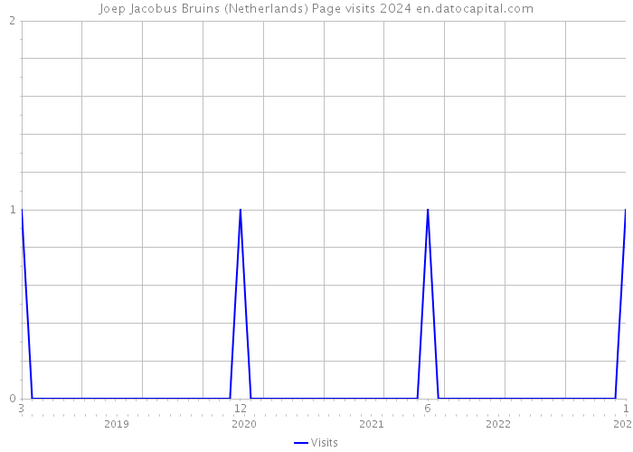 Joep Jacobus Bruins (Netherlands) Page visits 2024 