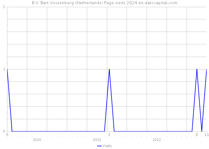 B.V. Bart Vossenberg (Netherlands) Page visits 2024 