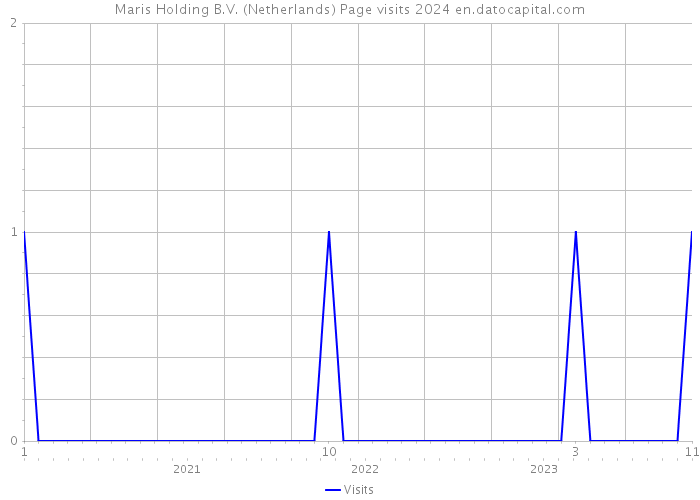 Maris Holding B.V. (Netherlands) Page visits 2024 