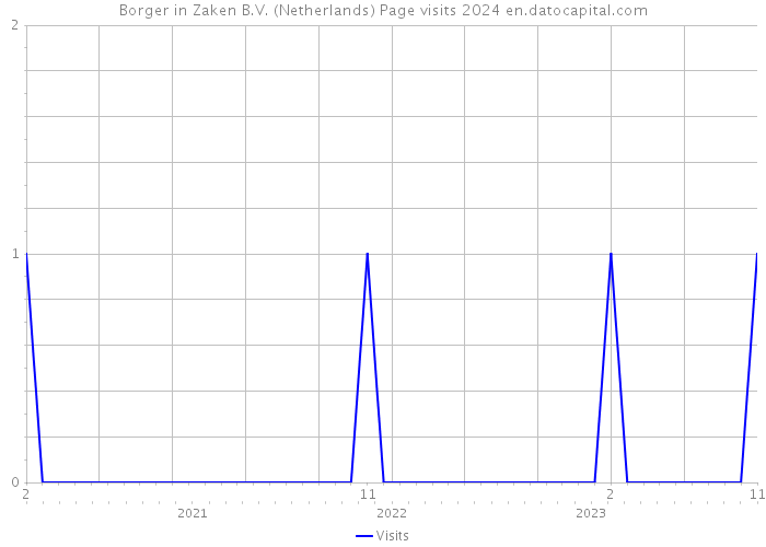 Borger in Zaken B.V. (Netherlands) Page visits 2024 