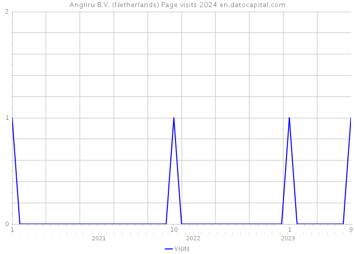 Angliru B.V. (Netherlands) Page visits 2024 