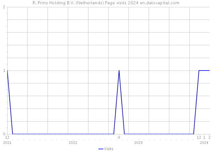 R. Prins Holding B.V. (Netherlands) Page visits 2024 