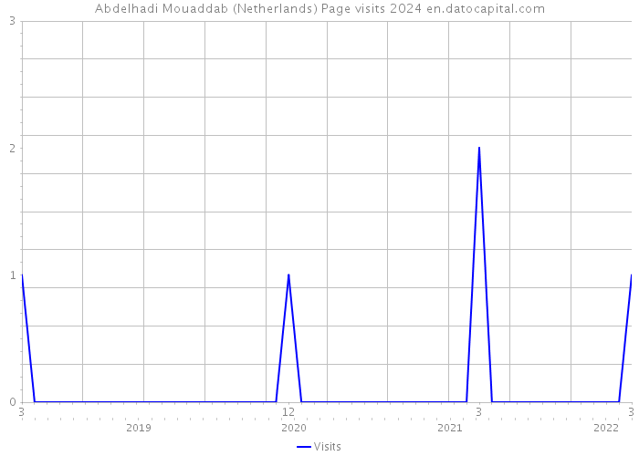 Abdelhadi Mouaddab (Netherlands) Page visits 2024 