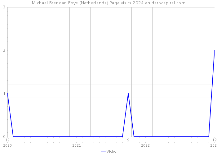 Michael Brendan Foye (Netherlands) Page visits 2024 