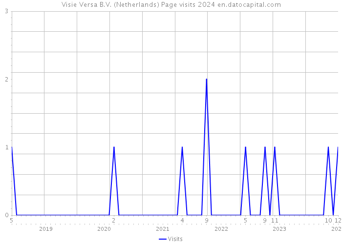 Visie Versa B.V. (Netherlands) Page visits 2024 