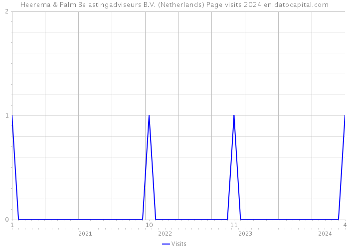 Heerema & Palm Belastingadviseurs B.V. (Netherlands) Page visits 2024 