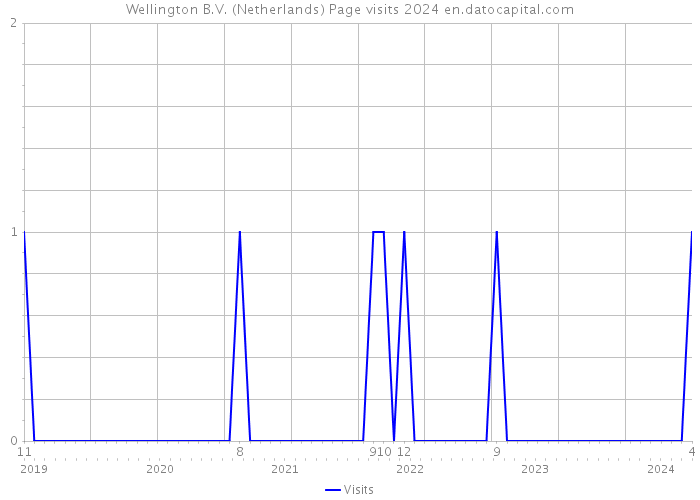 Wellington B.V. (Netherlands) Page visits 2024 