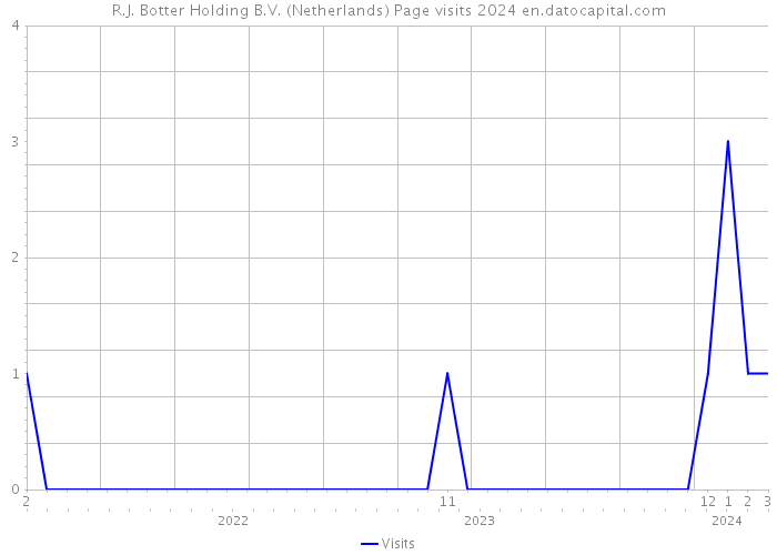 R.J. Botter Holding B.V. (Netherlands) Page visits 2024 