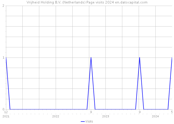 Vrijheid Holding B.V. (Netherlands) Page visits 2024 