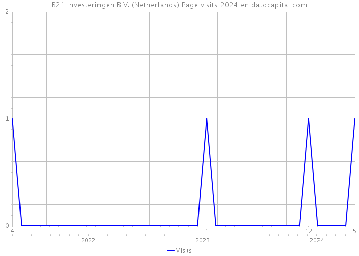 B21 Investeringen B.V. (Netherlands) Page visits 2024 