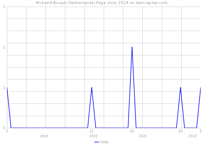 Mohand Bouadi (Netherlands) Page visits 2024 