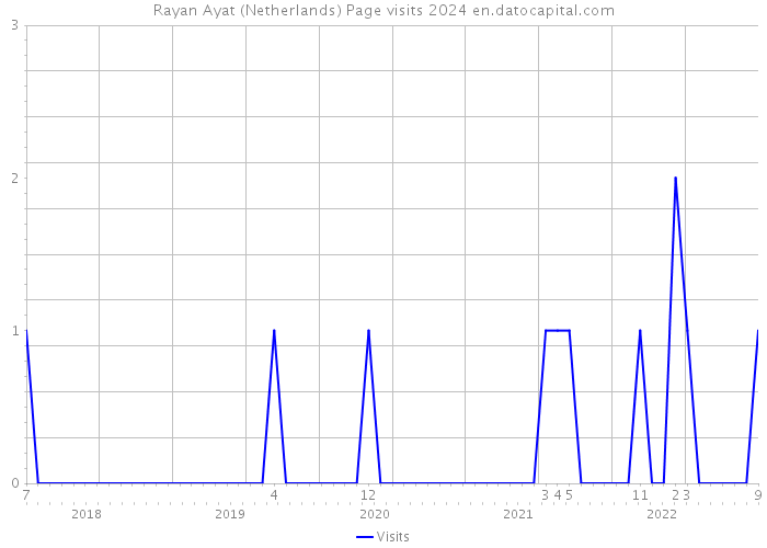 Rayan Ayat (Netherlands) Page visits 2024 