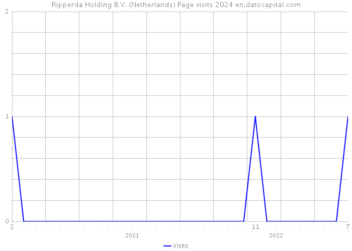 Ripperda Holding B.V. (Netherlands) Page visits 2024 