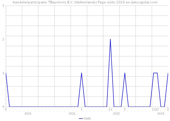 Aandelenparticipatie TBauctions B.V. (Netherlands) Page visits 2024 