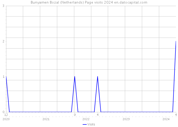 Bunyamen Bozal (Netherlands) Page visits 2024 