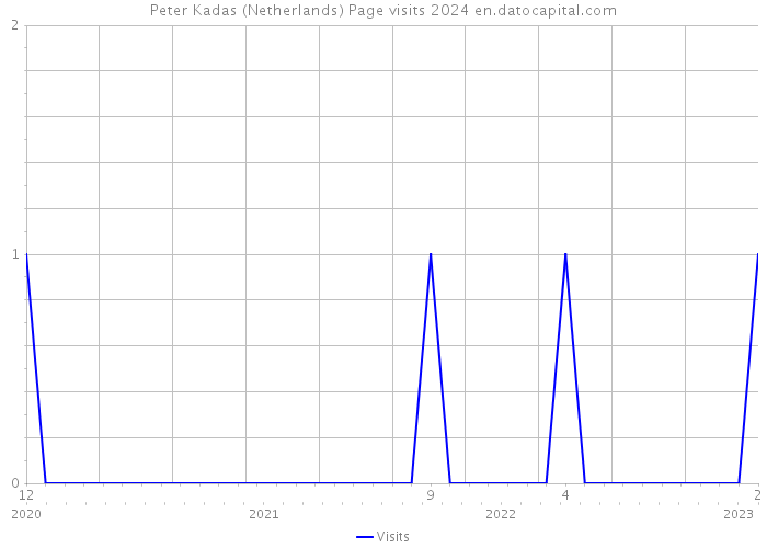 Peter Kadas (Netherlands) Page visits 2024 