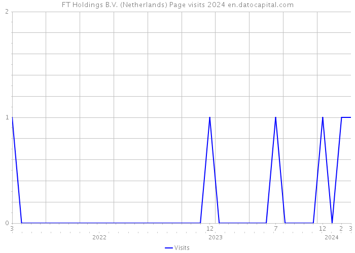 FT Holdings B.V. (Netherlands) Page visits 2024 