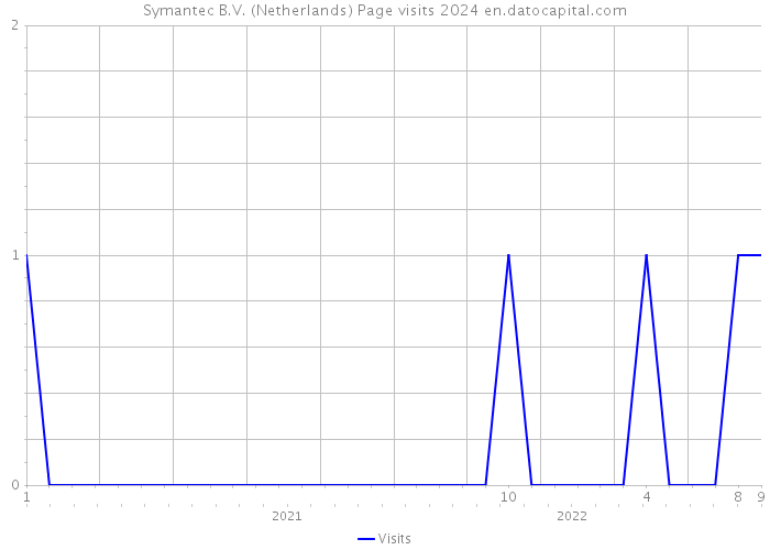 Symantec B.V. (Netherlands) Page visits 2024 