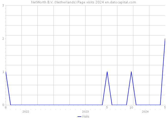 NetWorth B.V. (Netherlands) Page visits 2024 