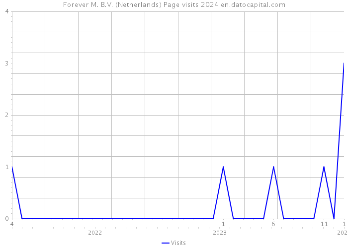 Forever M. B.V. (Netherlands) Page visits 2024 