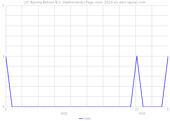 J.P. Bijlsma Beheer B.V. (Netherlands) Page visits 2024 