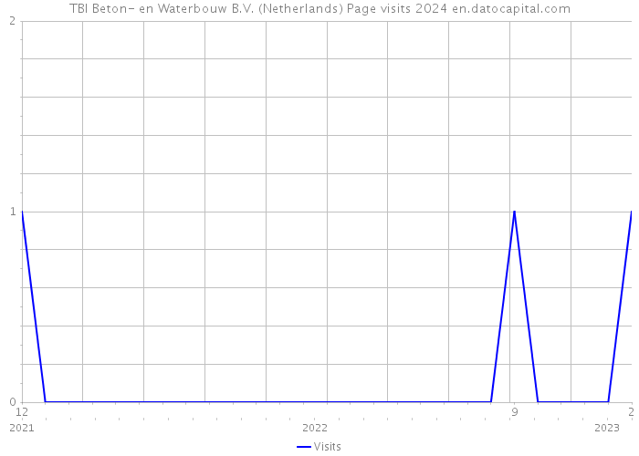 TBI Beton- en Waterbouw B.V. (Netherlands) Page visits 2024 