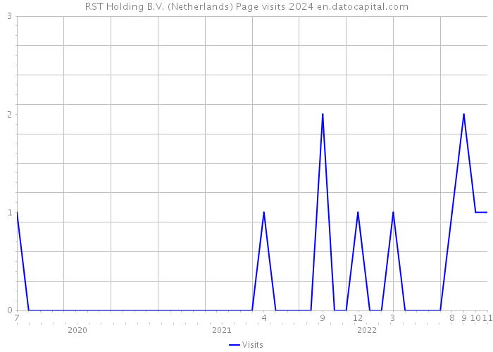 RST Holding B.V. (Netherlands) Page visits 2024 