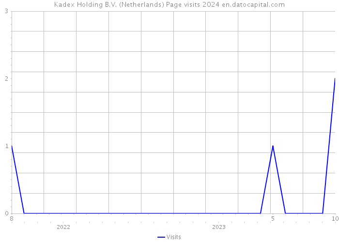 Kadex Holding B.V. (Netherlands) Page visits 2024 